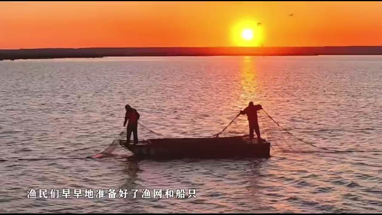 纪录片大海捕鱼图片